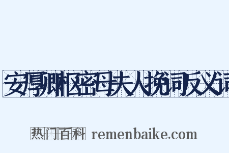 安厚卿枢密母夫人挽词反义词是什么意思的图片